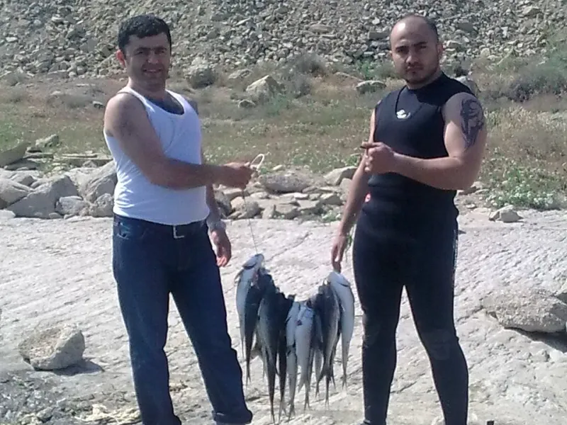 gdeto tam v doli