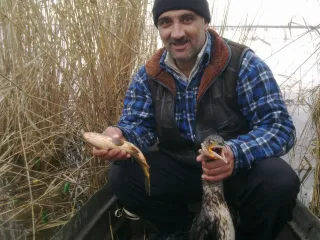 шабран