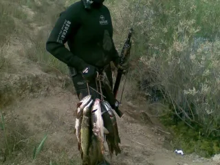 Кюрдамир