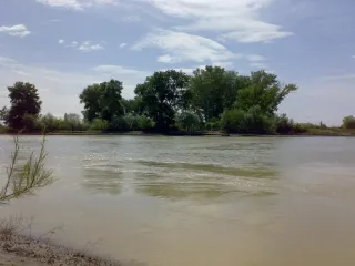 Кура