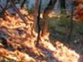 Вооруженные силы Армении вновь устроили поджоги на оккупированных территориях Азербайджана