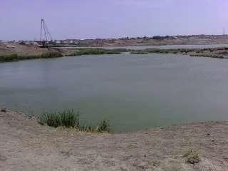 Бинагади