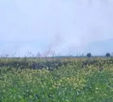Азербайджан намерен предпринять меры для предотвращения экологического террора на оккупированных территориях