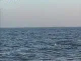 Ильхам Алиев издал распоряжение о дополнительных мерах по защите Каспийского моря от загрязнения