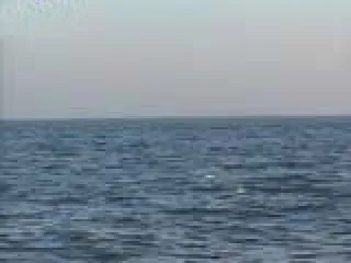 Ильхам Алиев издал распоряжение о дополнительных мерах по защите Каспийского моря от загрязнения