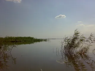 Сарысу