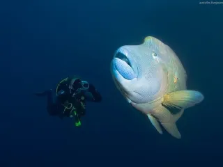 Мальдивы