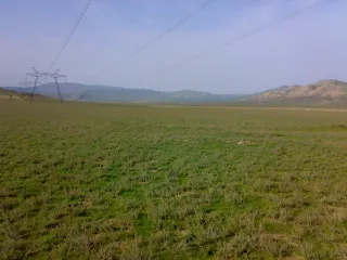 60 км от города по Шемахинской дороге.