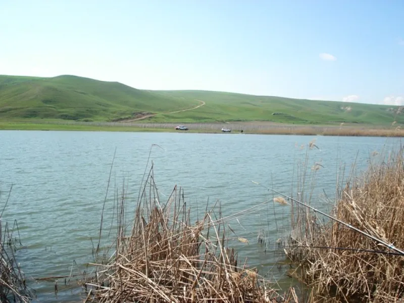 Меликчобанлы, Шемаха