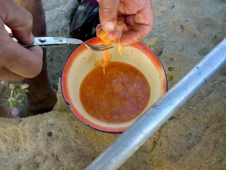 Пирсагат