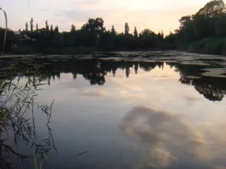 Сабирабад, Казах, Тауз, Шамкир, Мингячевир, Варвара, Ивановка