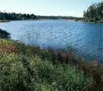 Обнародован очередной мониторинг, проведенный в реках Кура и Араз