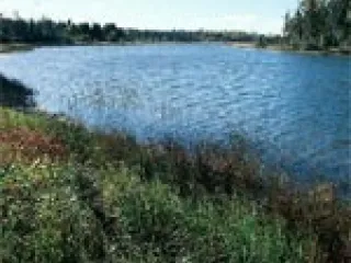 Обнародован очередной мониторинг, проведенный в реках Кура и Араз