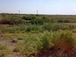 Йени Кянд. Канал. Дальше Алят