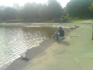 Москва пос Дмитрово