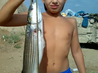 На мордовке Приморскаю