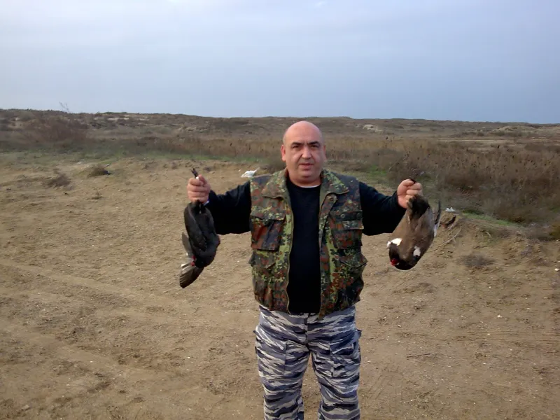 зиря