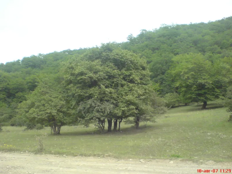 Кусарский р-он село Лаза