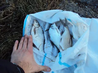 Mengecheurskoe vodohranilishe