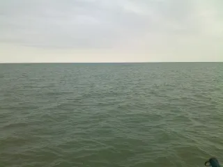 Дашгиль